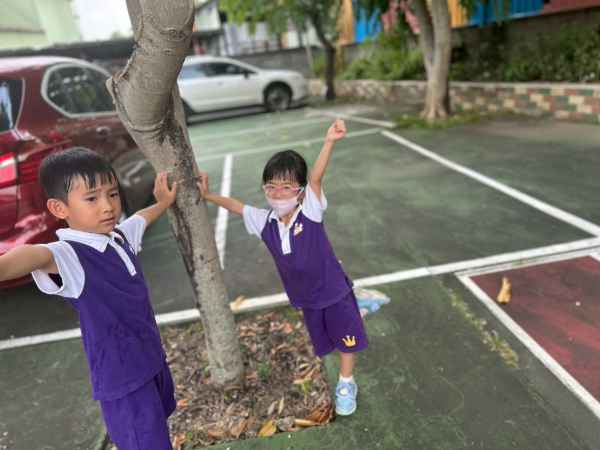 Minnie114.09.04主題活動-樹呀樹真奇妙