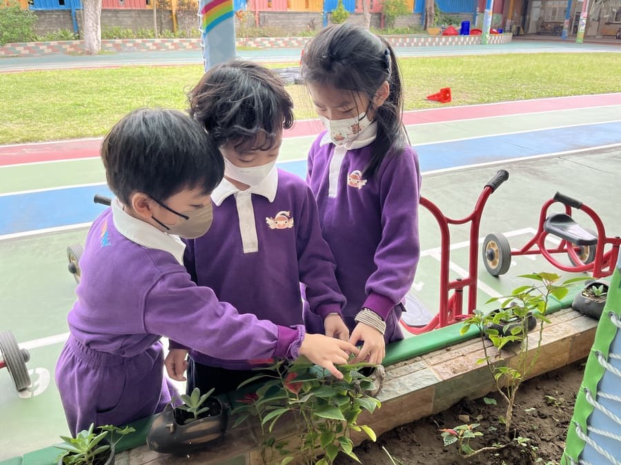 Minnie114.11.27主題活動-樹!你真好