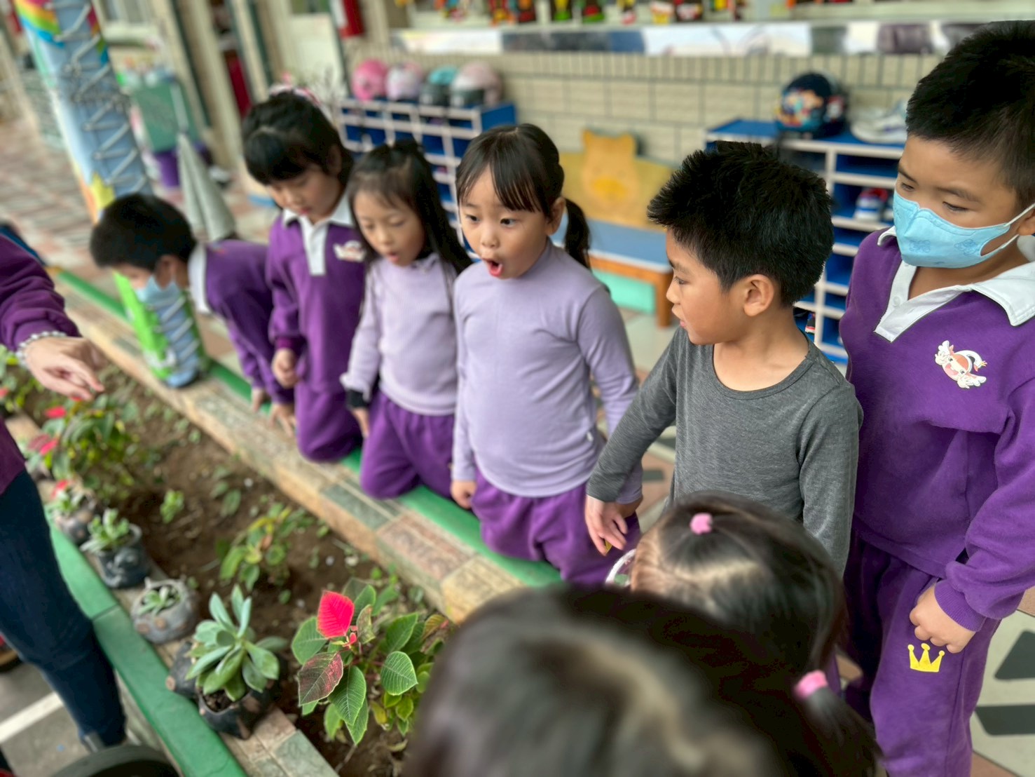 Goofy1141127主題活動-樹!有你真好