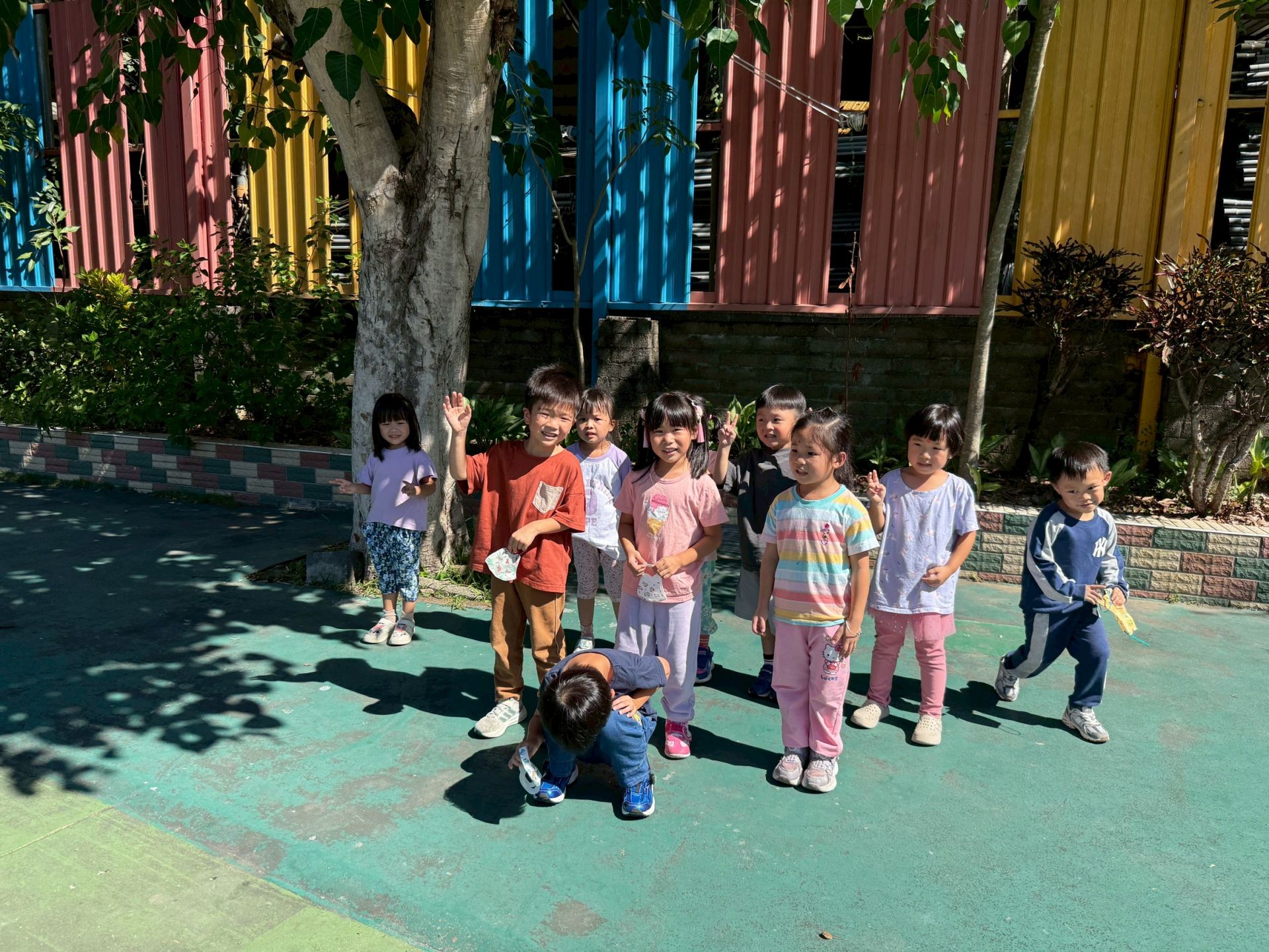 kitty1141107生活中的葉子