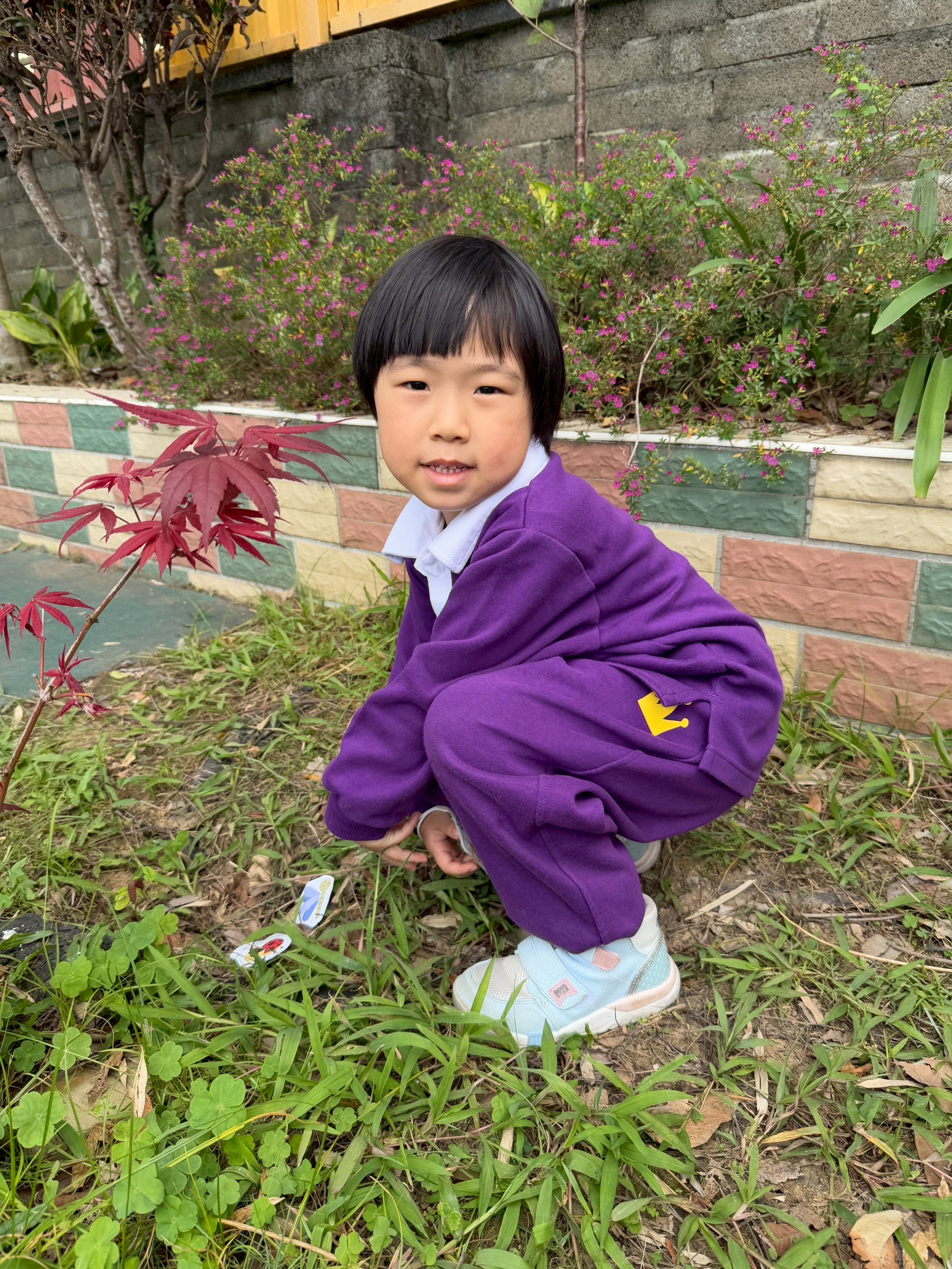 kitty1141127認真活動~昆蟲在哪裡