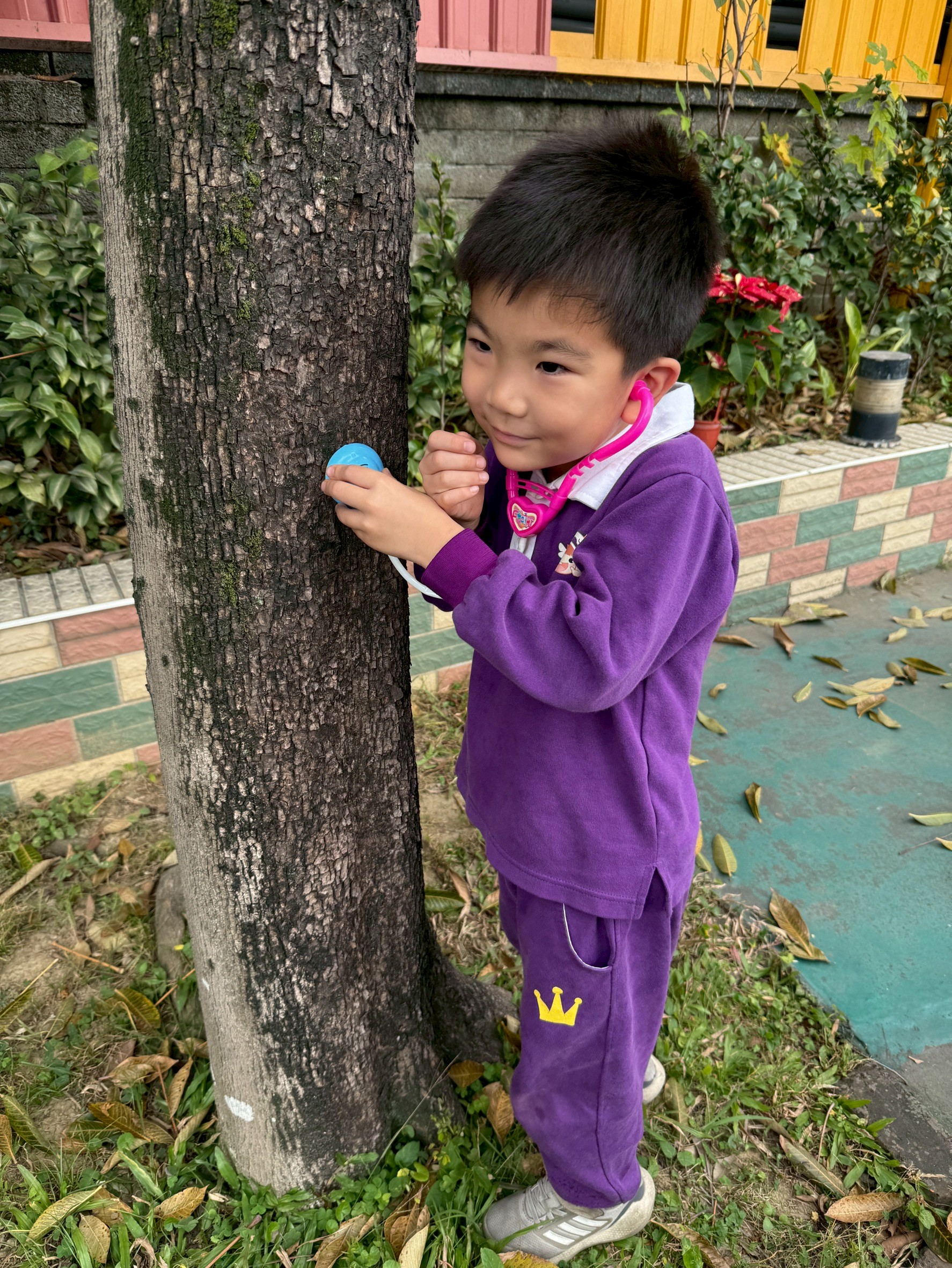 kitty1150119認知活動~樹醫生