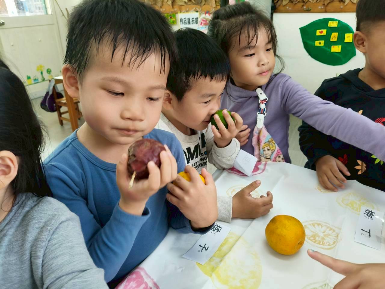 Winnie114.12.01主題活動~認識樹上的水果(品嚐檸檬)