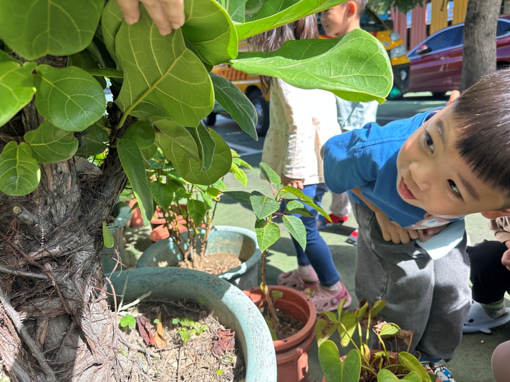 Snoopy114.11.05大樹公長鬍鬚(主題)-觀察樹