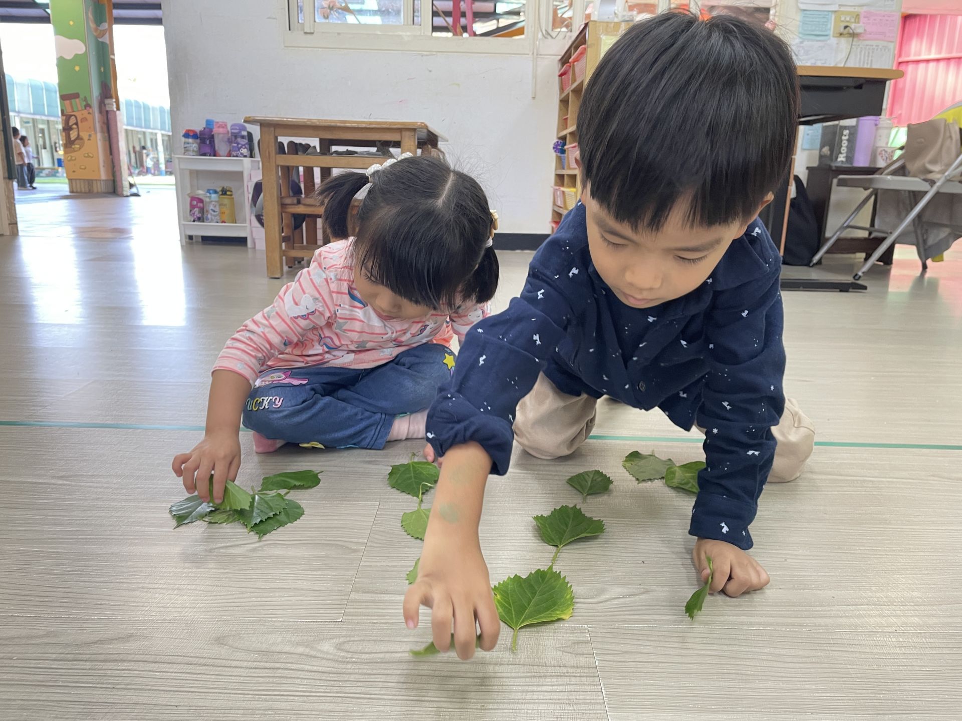 Poli1141114主題活動-葉子選拔賽
