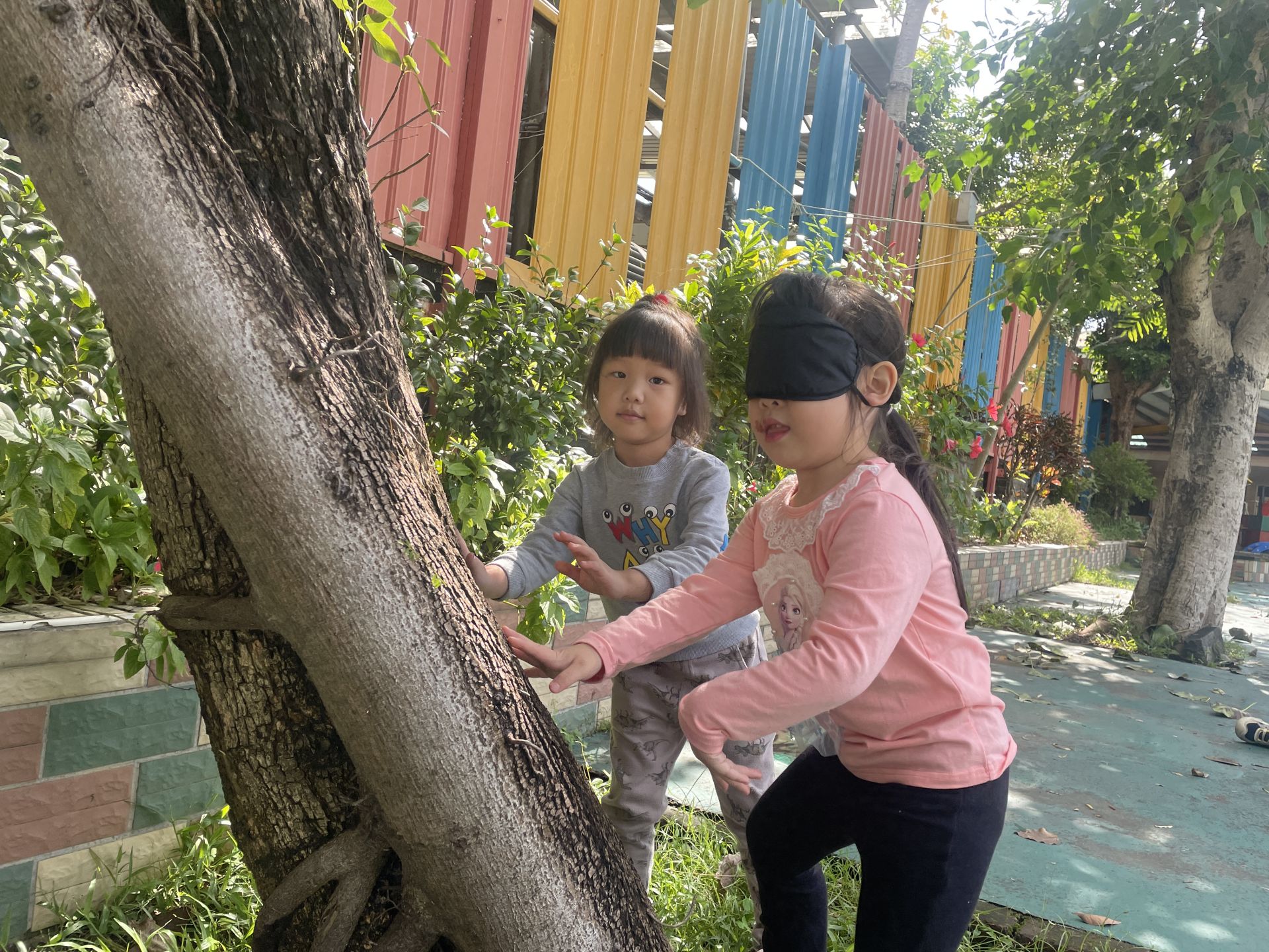 Poli1141114主題活動-大樹公