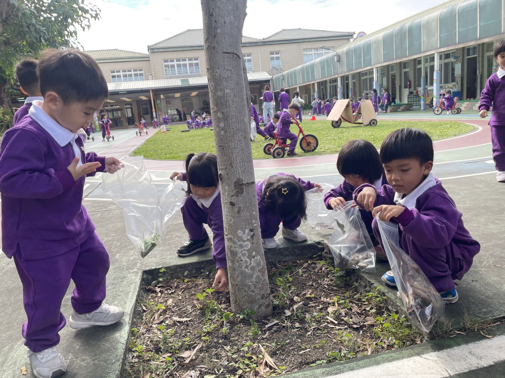 Poli1141127主題活動-天氣晴，我們撿落葉趣