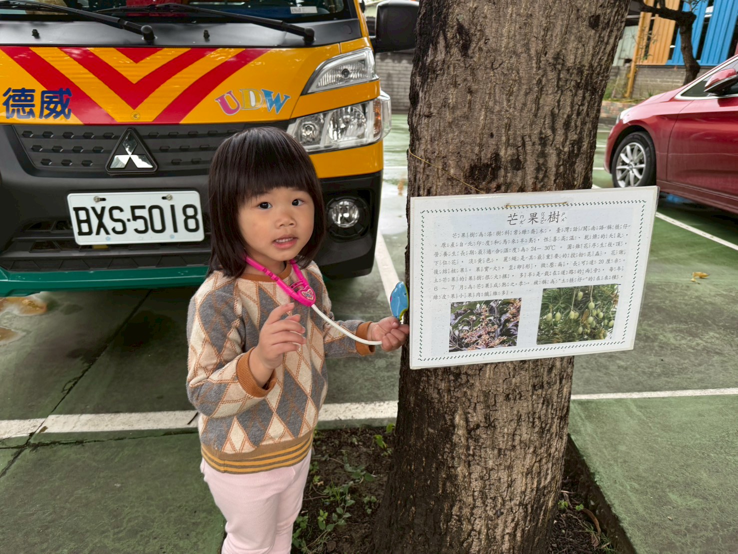 1150120主題~樹醫生