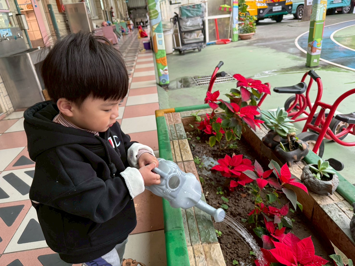 Baby1150121主題~小園丁