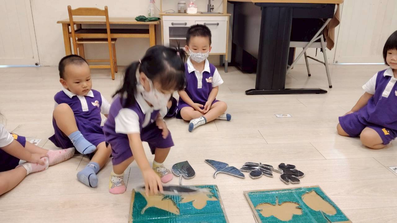 1141016樹葉大不同樹幹的紋路