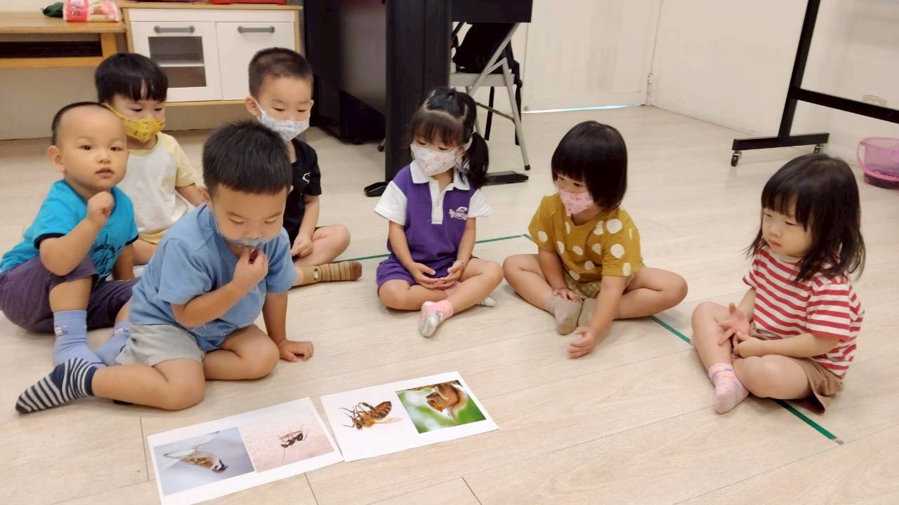 1140930葉子的顏色愛護樹