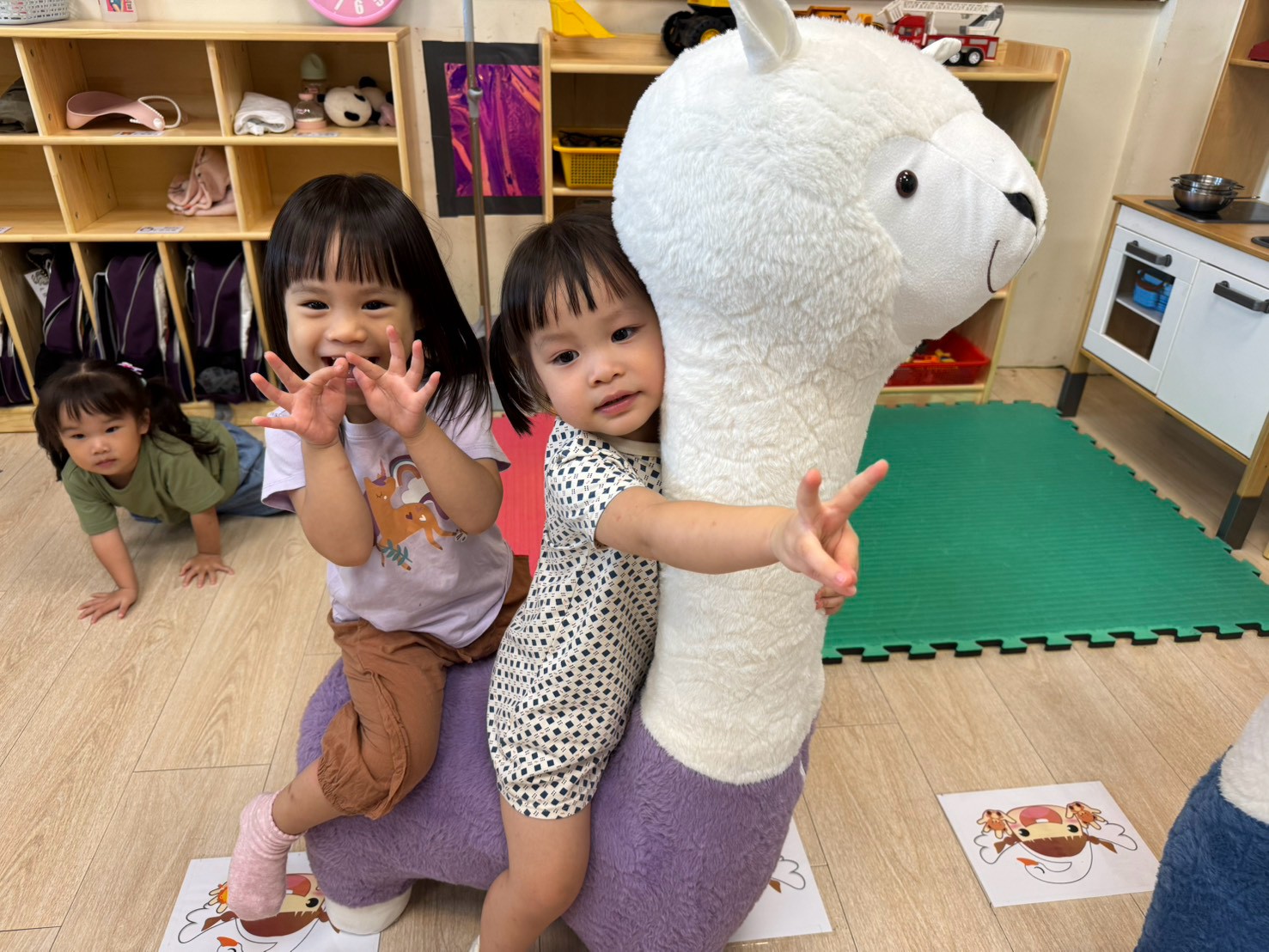 Baby1150911和羊駝一起玩